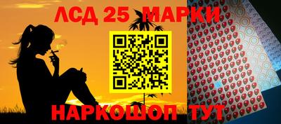гидропоника Тула