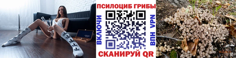 Галлюциногенные грибы мицелий  мега ссылки  Павлово  продажа наркотиков 