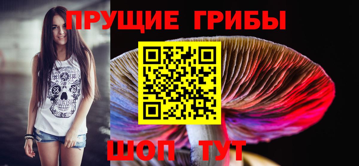 Павлово  Галлюциногенные грибы ЛСД  Псилоцибиновые грибы мицелий  Вход с VPN 