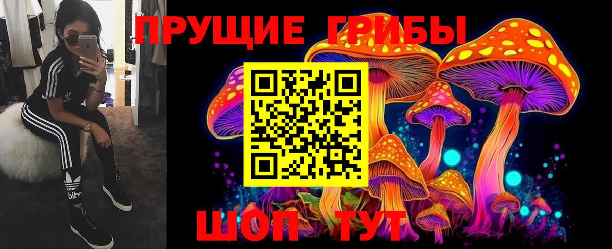 Псилоцибиновые грибы прущие грибы Павлово
