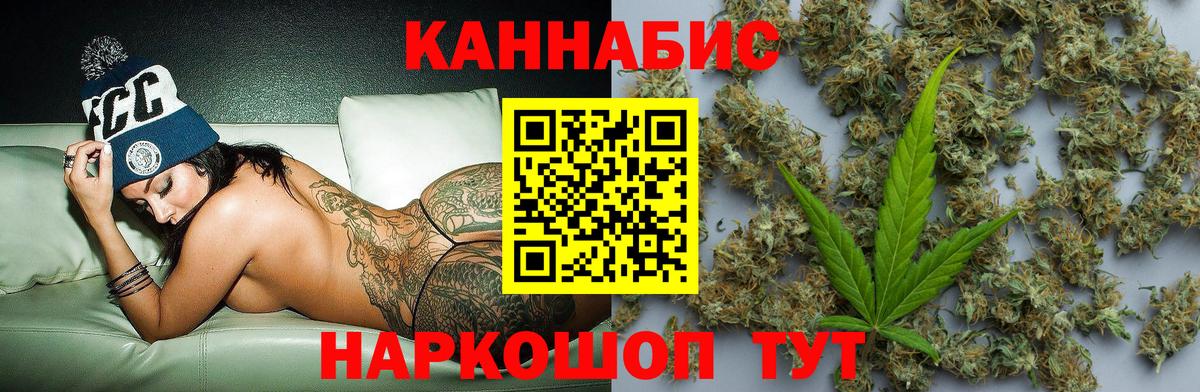Бошки Шишки планчик Павлово